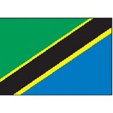 2'x3' Tanzania U.N. Nylon Outdoor Flag - Style B