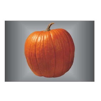 Pumpkin Rectangle Metal Photo Magnet (2"x3")