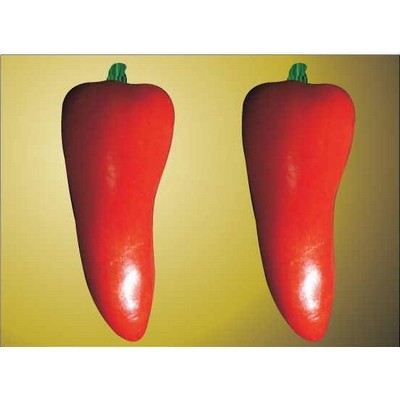 Red Chili Pepper Rectangle Badge w/ Bar Pin (2"x3")