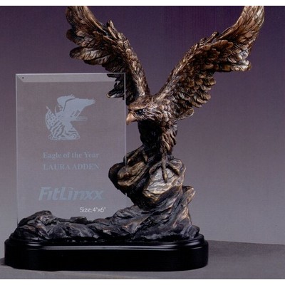 Eagle on Rocks w/Glass Imprint Frame Trophy (7"x10")