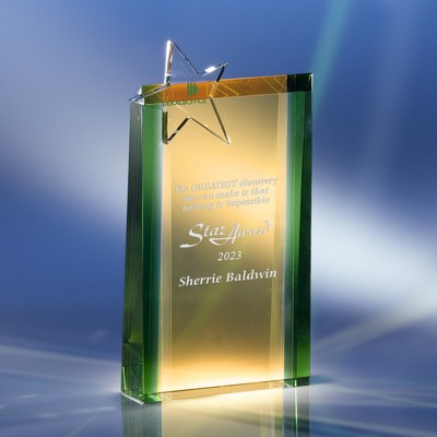 The Polaris Crystal Award