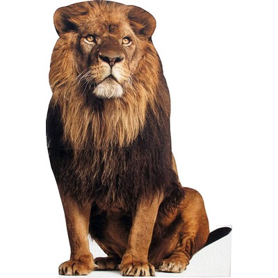 Lion Animal Cardboard Cutout Stand Up| Standee Picture Poster Photo Print