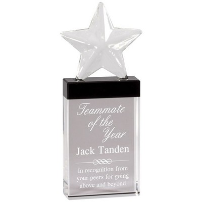 Optical Crystal Frosted Star Award (3" x 8¼")