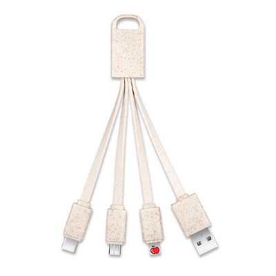 4 In 1 Eco Friendly Wheat Straw Charging Cable