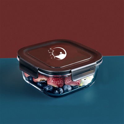 27 Oz Glass Food Storage Box