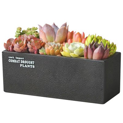 Rectangle Cement Succulent Planter Pots