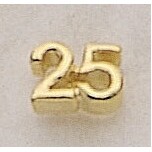 25 (numeral) Marken Design Cast Lapel Pin (3/8")