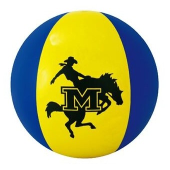 Inflatable Yellow and Blue Beach Ball (16")