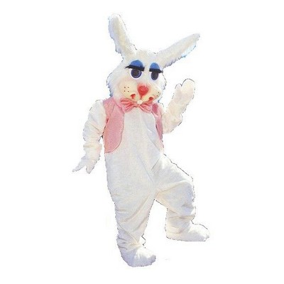 Rabbit Mascot Character Costume