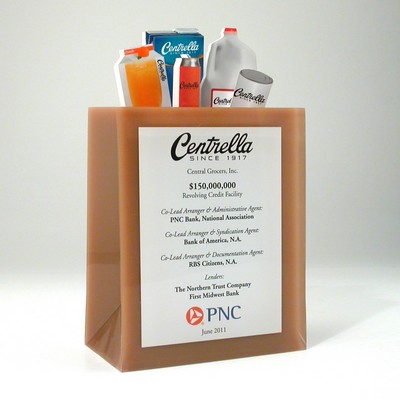 Shopping Bag Lucite® Embedment Award (4 1/2" x 5 1/2" x 2 1/2")