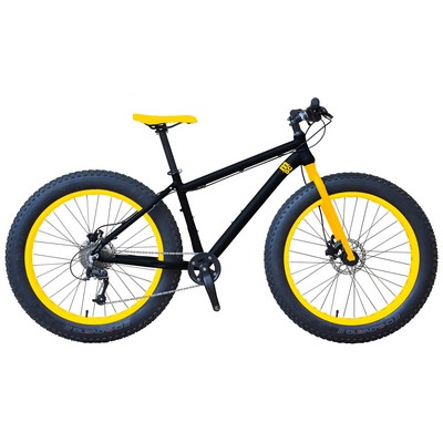 Fat Tire Mountain Bike