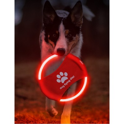 Luminescent Pet Flying Discs