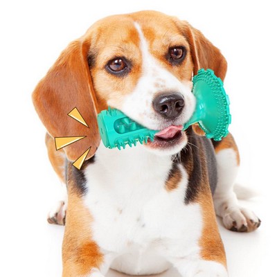 Dog Toothbrush Chew Toys