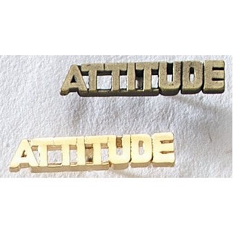 Series 3000S Attitude MasterCast Design Cast Lapel Pin