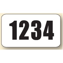 Adhesive Race Number (6"x3")