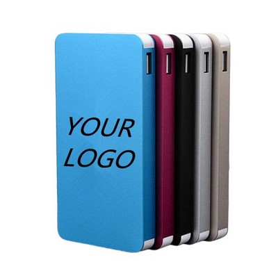 10000mAh High Capacity Portable Dual Charging Power Bank