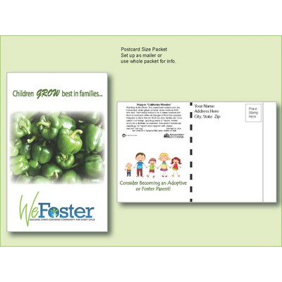 Pepper California Wonder Seed Packet- Postcard Mailer Size (4" x 6.5")