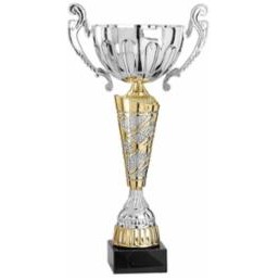 12" Assembled Silver/Gold Cup Trophy w/Handles