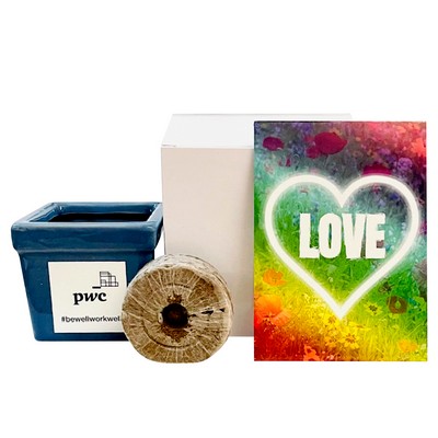 Love Flower Seed Kit in Ceramic Pot