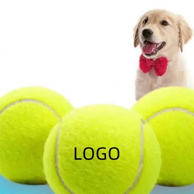 Pet Fetch Toy Tennis Ball