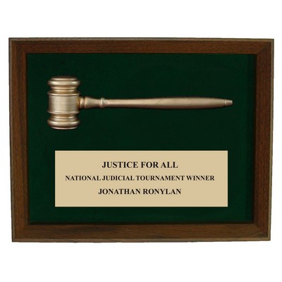 8 x 10 Gavel Shadow Frame Award