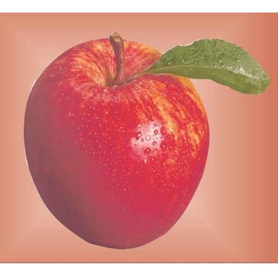 Apple Metal Photo Magnet (2 1/2"x2 1/2")