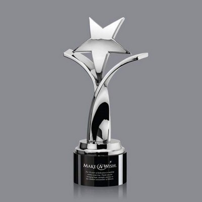 Rosaria Award - Silver/Black 10½"