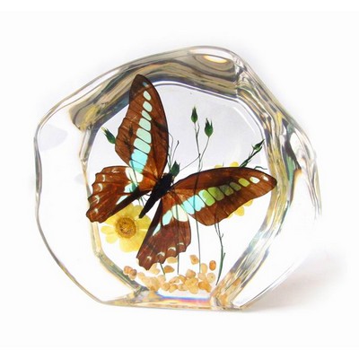 Lucite Paperweight with Real Butterfly, 4 ½ x 3 7/8 x 1"