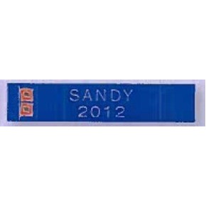 Custom Rectangle Award Bar (Sandy 2012)