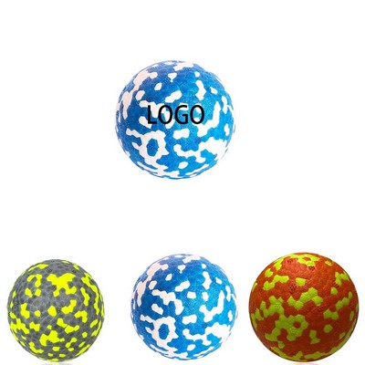 Pet Training Toy Ball