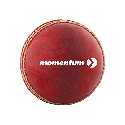 Branded Professional Cricket Ball