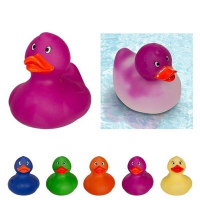 Colorful Rubber Duck Toy