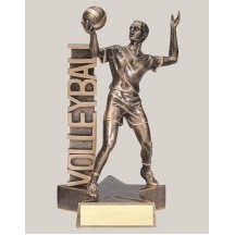 8.5" Male Volleyball Billboard Resin Series Trophy